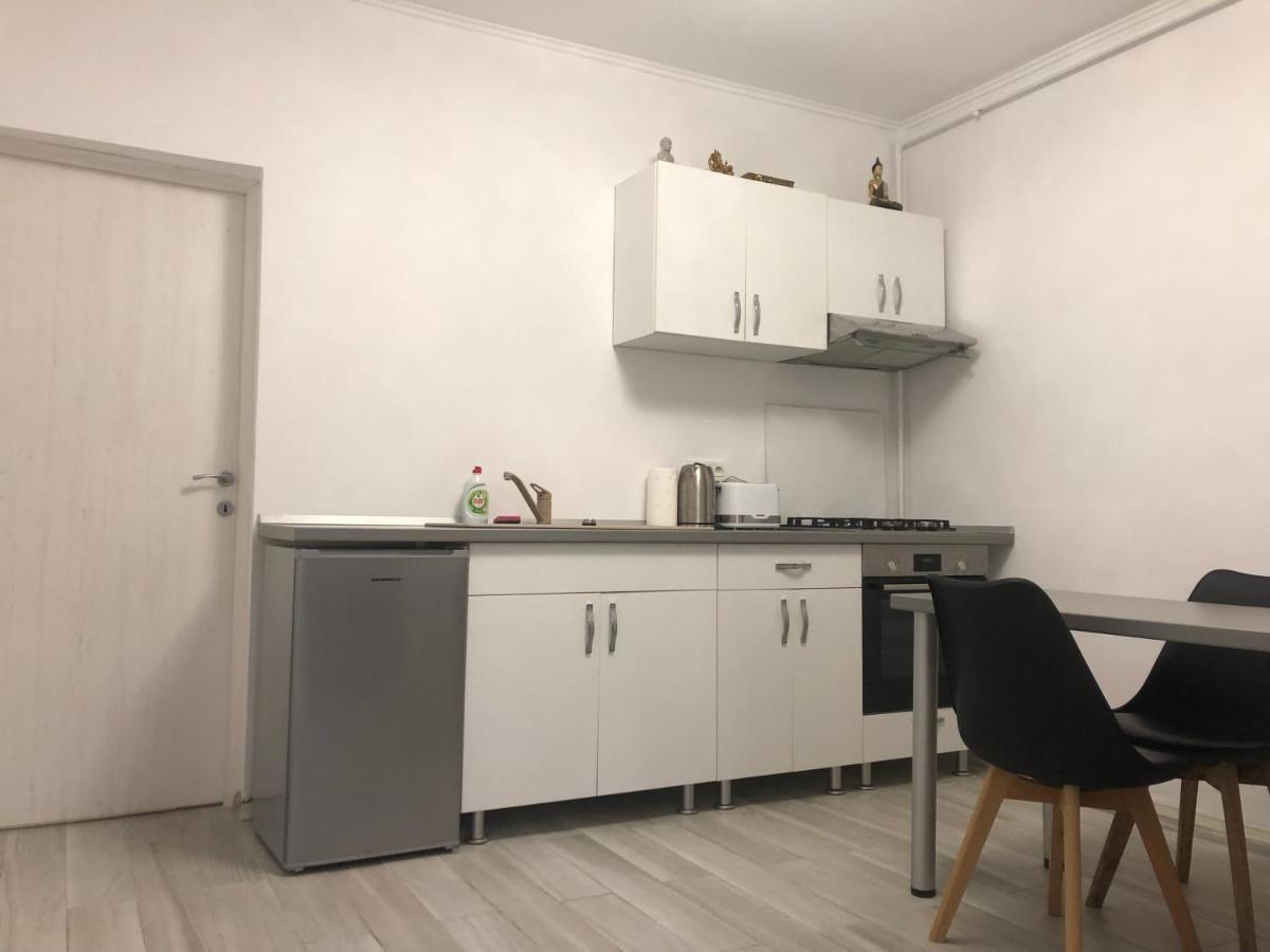Joy City Stay Pacha Тимишоара Экстерьер фото